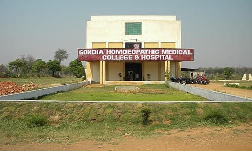 Gondia Homoeopathic Medical College & Hospital